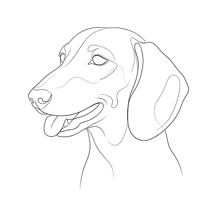 The Dachshund