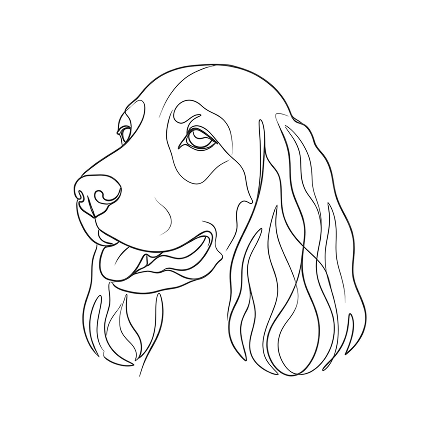 The Spaniel