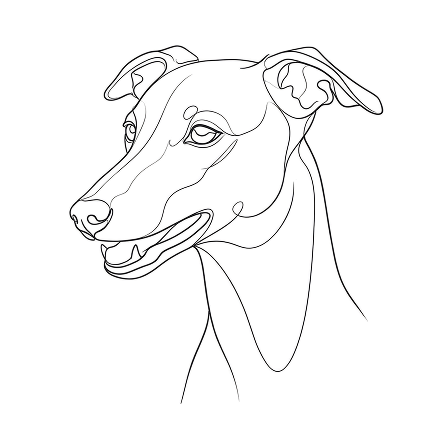 The Whippet